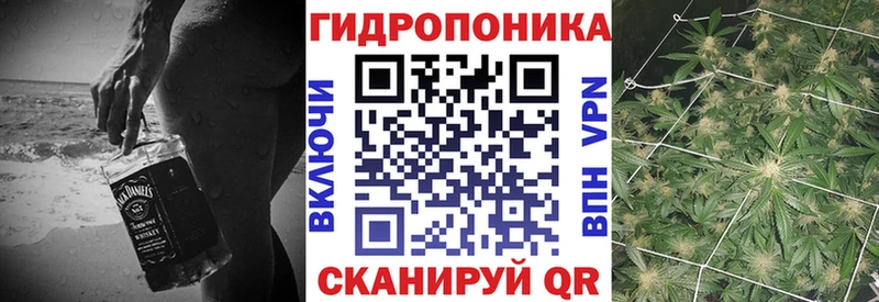 Купить закладку КОКАИН  Альфа ПВП  МЕФ  Гашиш  Каннабис  Павловск