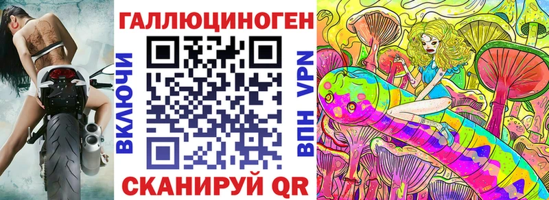 Купить закладки Павловск Псилоцибиновые грибы Psilocybine cubensis
